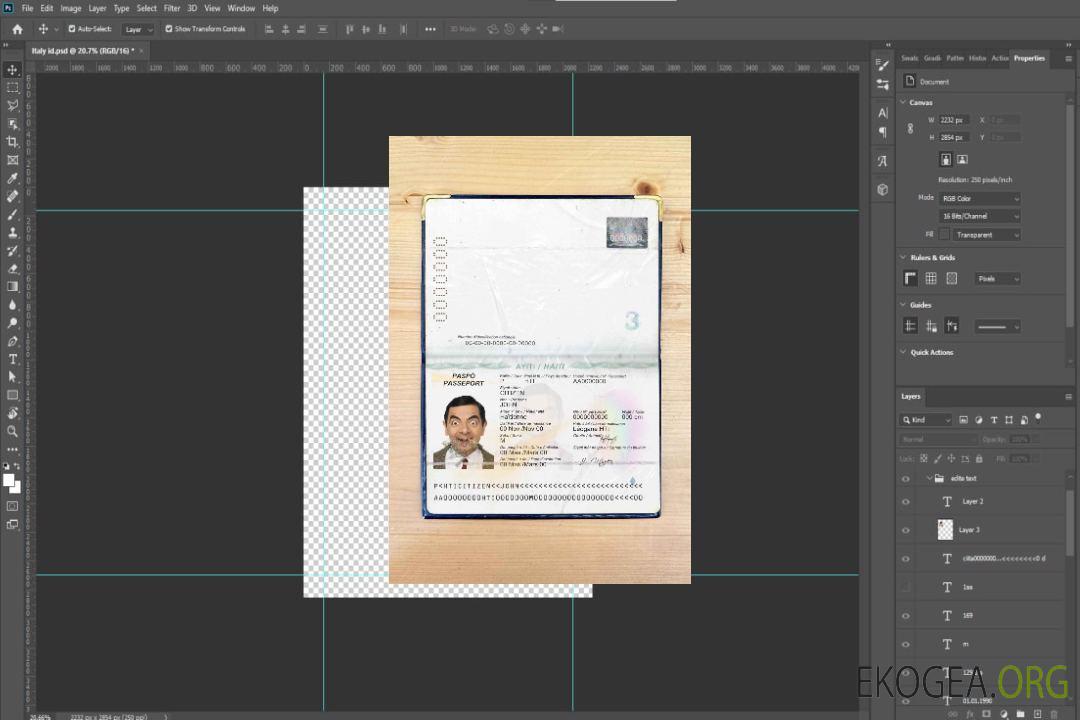 Look photo du passeport d'Haïti template Look photo du passeport d'Haïti template